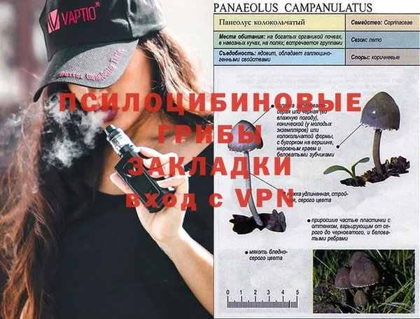 амфетамин Гусь-Хрустальный