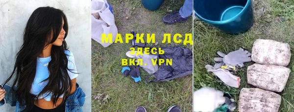 ALPHA PVP Гусев