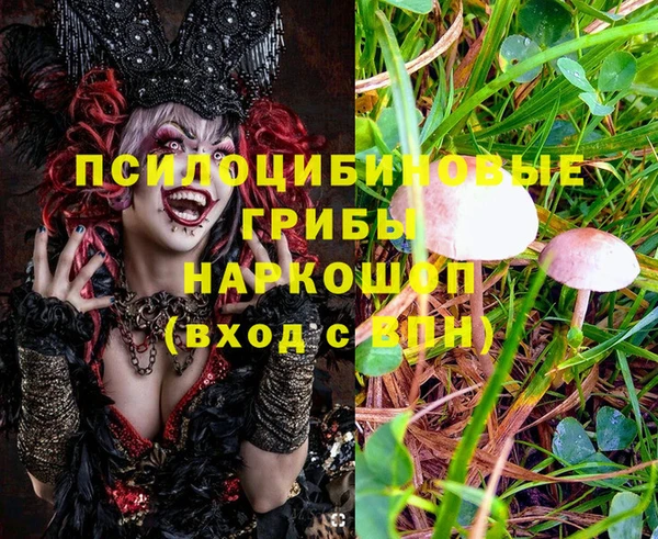 амфетамин Гусь-Хрустальный