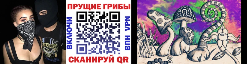 Галлюциногенные грибы MAGIC MUSHROOMS  Купить  Озёры 